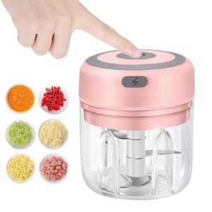 USB Rechargeable Mini Electric Garlic Chopper